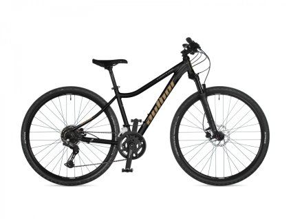 42960101 codex asl