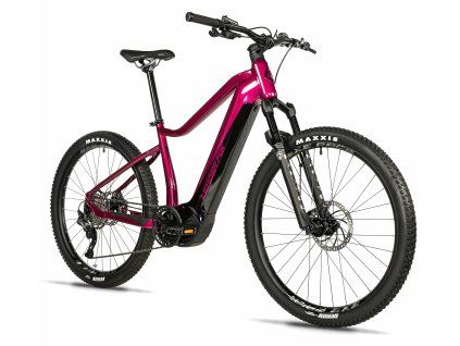 K25 Orem shiny violet (1) (1)