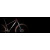 Horské kolo KTM PENNY LANE 271 night red (silver) (Velikost 52cm/21"/XL)