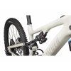 96824 55 LEVO SL COMP CARBON BRCH WHTMTN D4 STTT