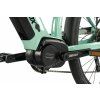 Denver lady mint 6