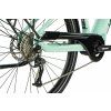 Denver lady mint 5