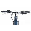 swan lady dark blue 4