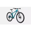 91827 54 ROCKHOPPER COMP KH TLTNTAL AGVE M 29 FDSQ