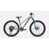 96527 50 RIPROCK COMP 24 AGVE OAKGRNMET HERO PDP
