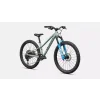96527 50 RIPROCK COMP 24 AGVE OAKGRNMET FDSQ